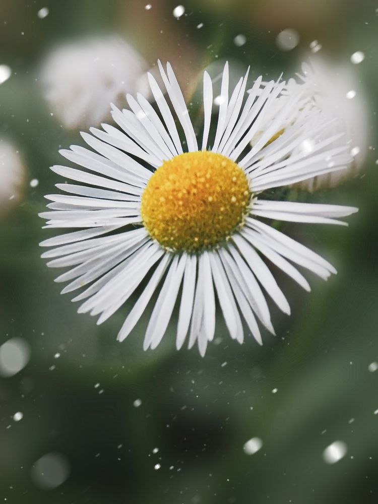 Photograph by Гонтарь Александра