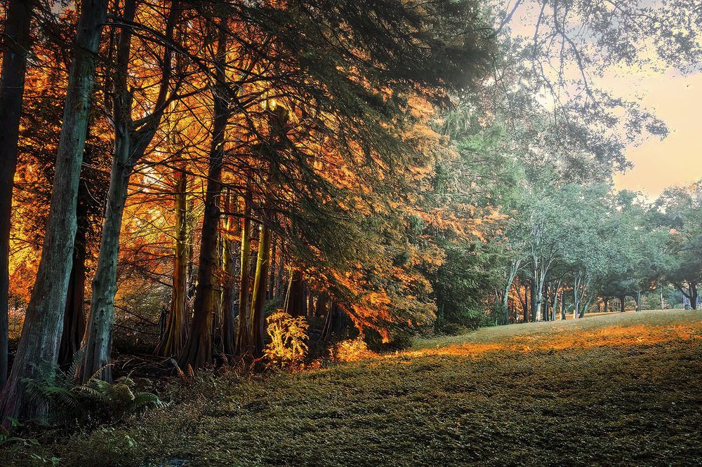 Фотография автора Raymond Asiala