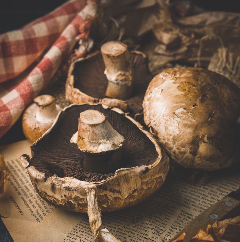 Photograph by Bryam Blanco