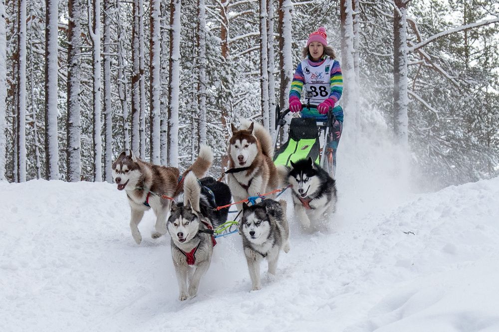 Photograph by Илья Юфа