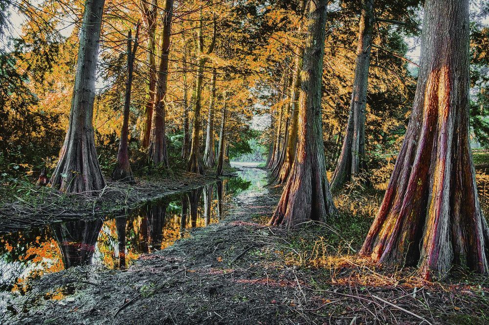 Фотография автора Raymond Asiala