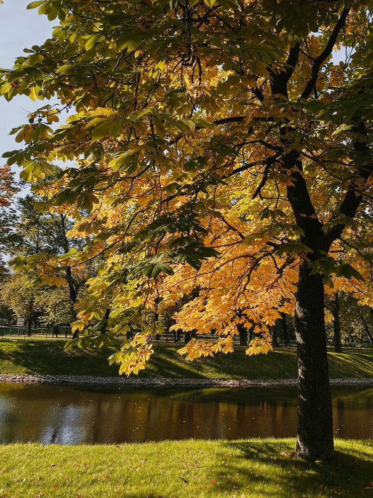 Фотография автора Ксения Крохина