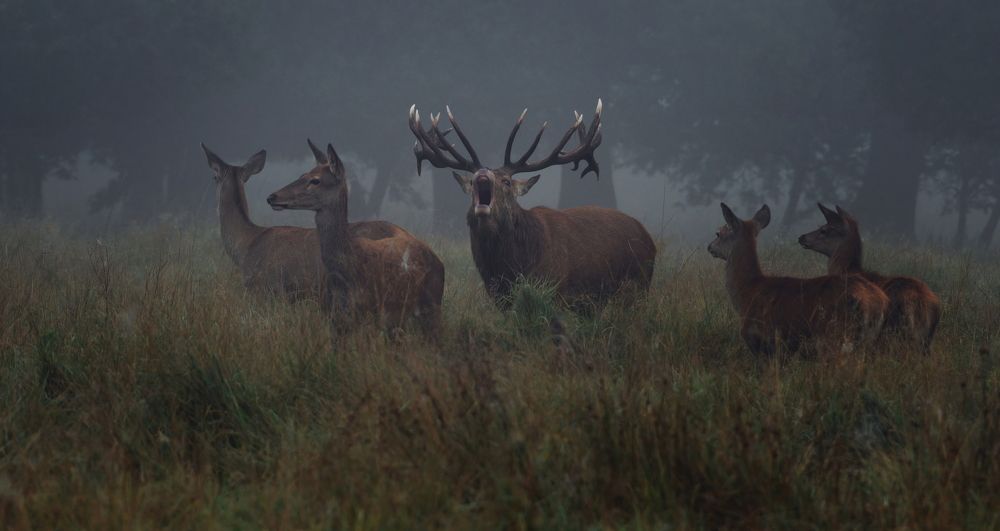 Фотография автора Jaroslaw Kowalski