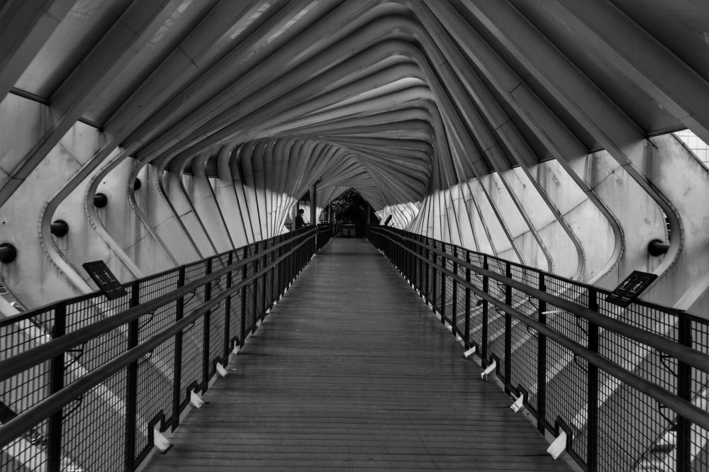 Photograph by Benny Momor