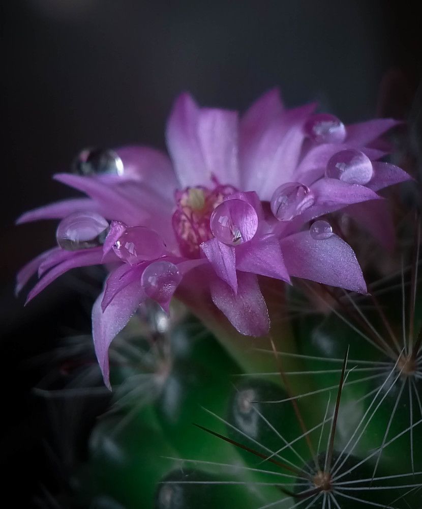 Photograph by Наталья Шумилова