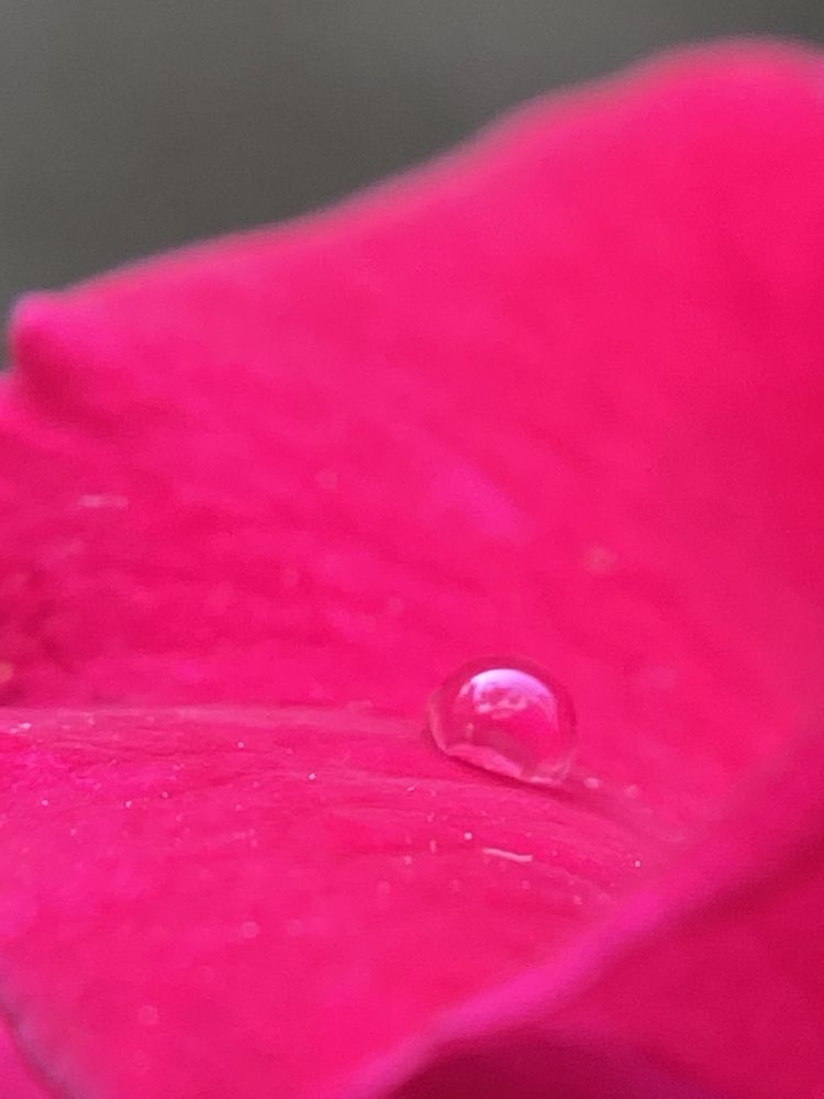 Photograph by Amey Mote