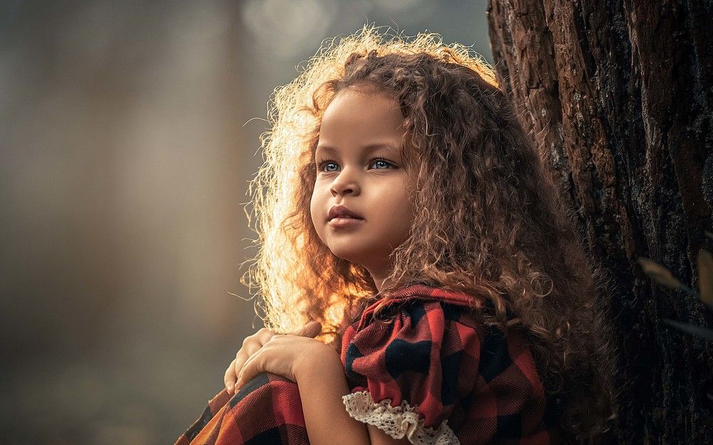 Фотография автора Carlos Gomes