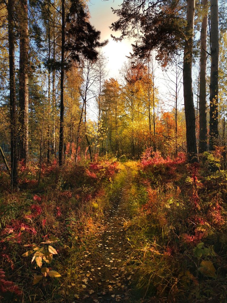 Photograph by Александр Разумов