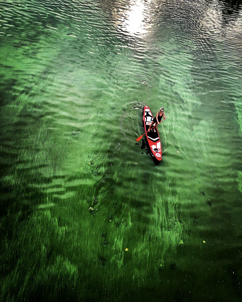 Зеленая река. Экология