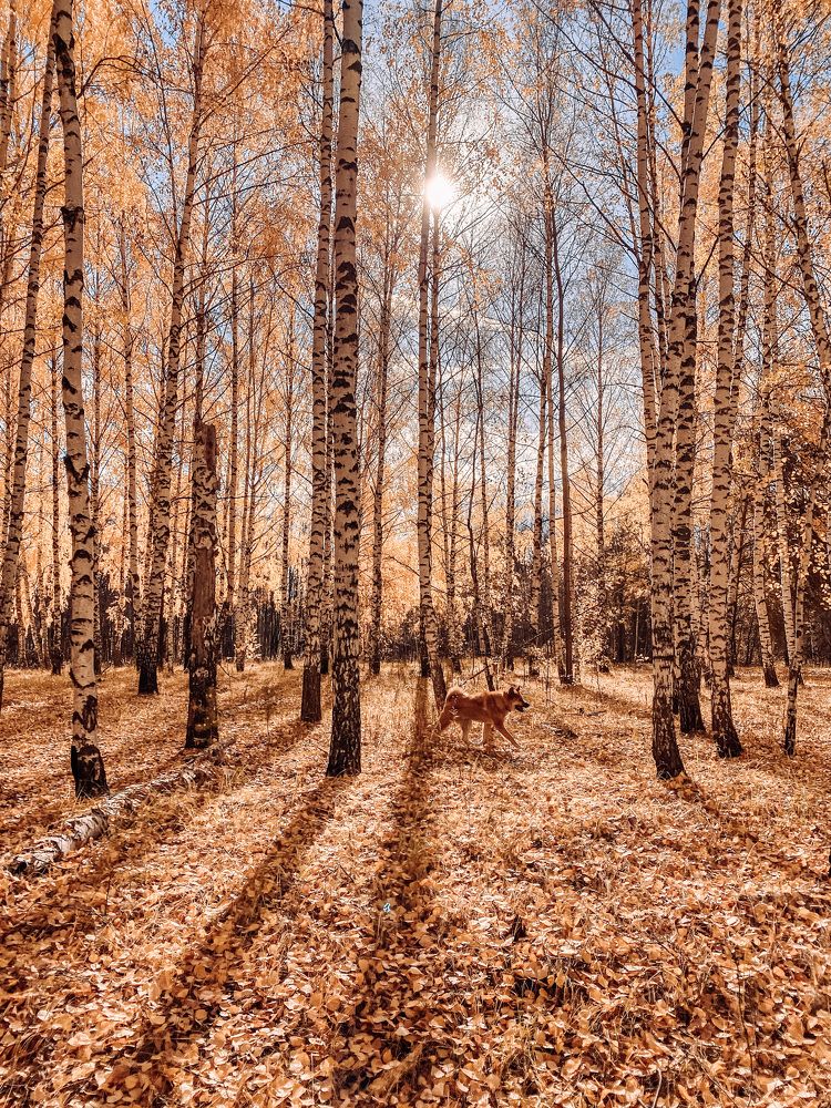 Photograph by Марина Урусова