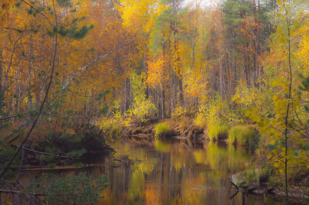 Осенняя палитра