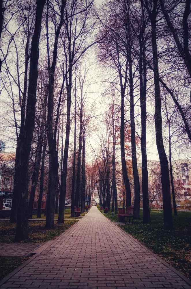 Photograph by Светлана Хамитова