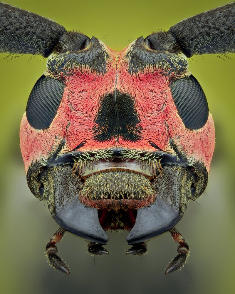 Photograph by Ngọc Trần