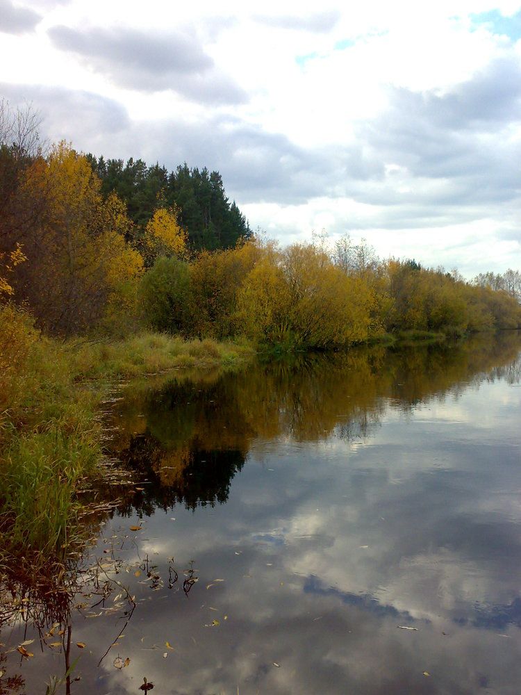 Photo #6648825