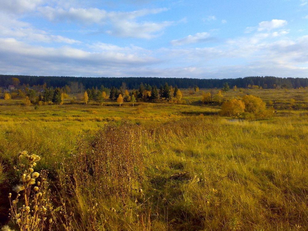 Photo #6648831