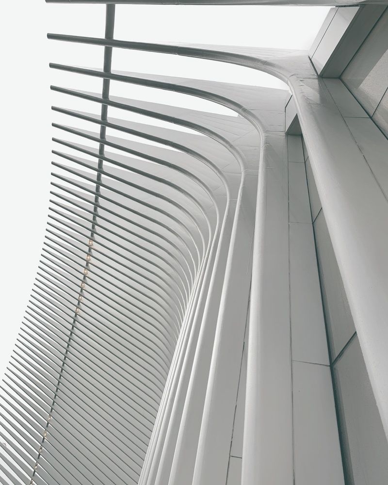 Photograph by Dennis Stern