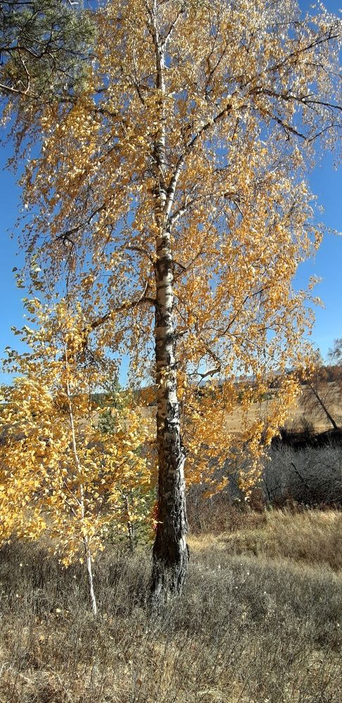 Photograph by Валентина Березина