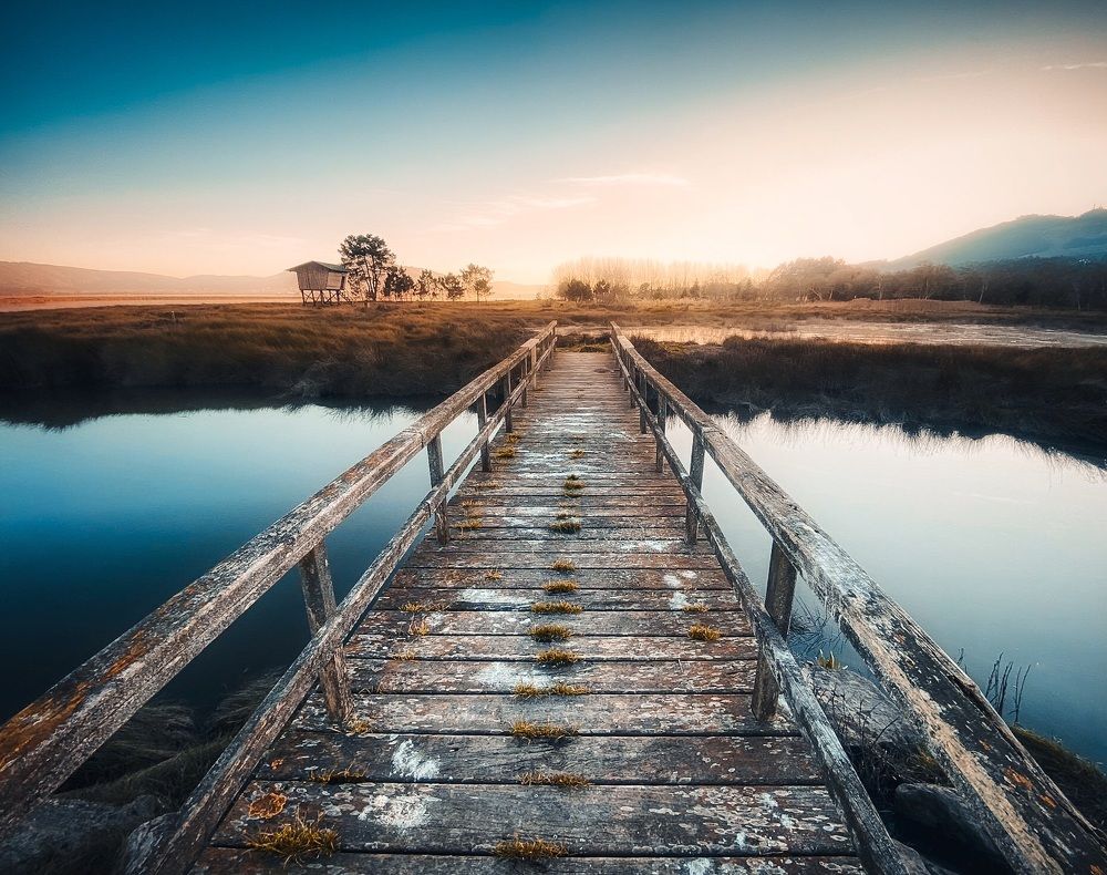Observatorio de Aves