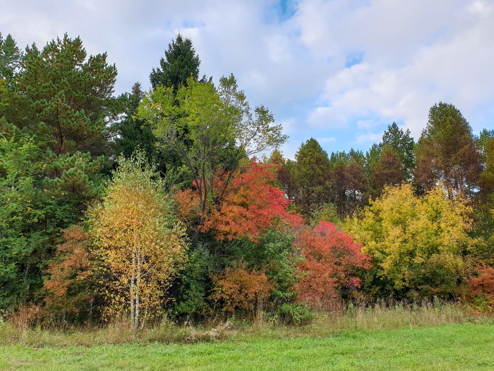 Photograph by Елена Димова