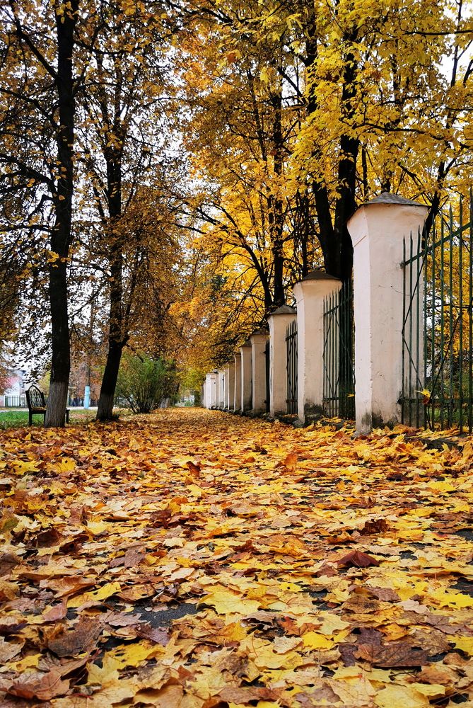 Photograph by Елена Миронова