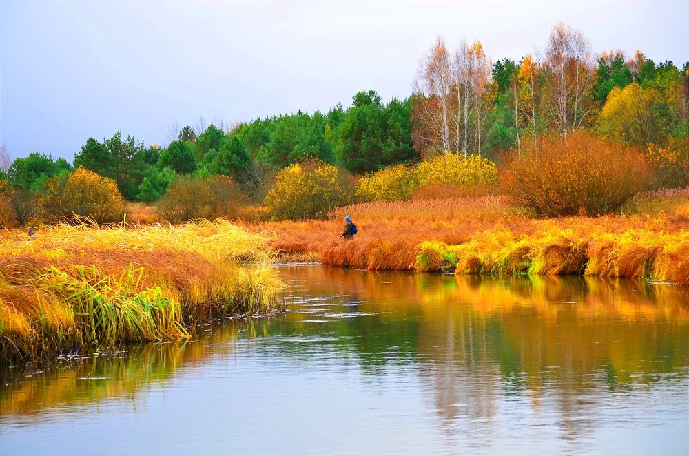 Fishing, small river