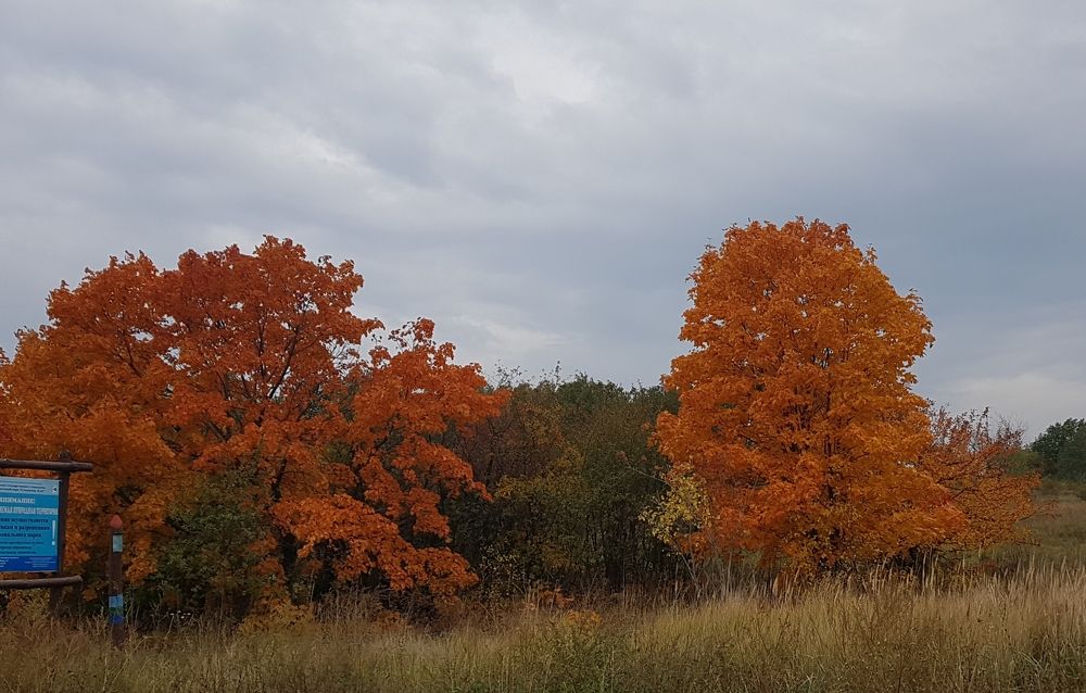 Photograph by Елена Поткина