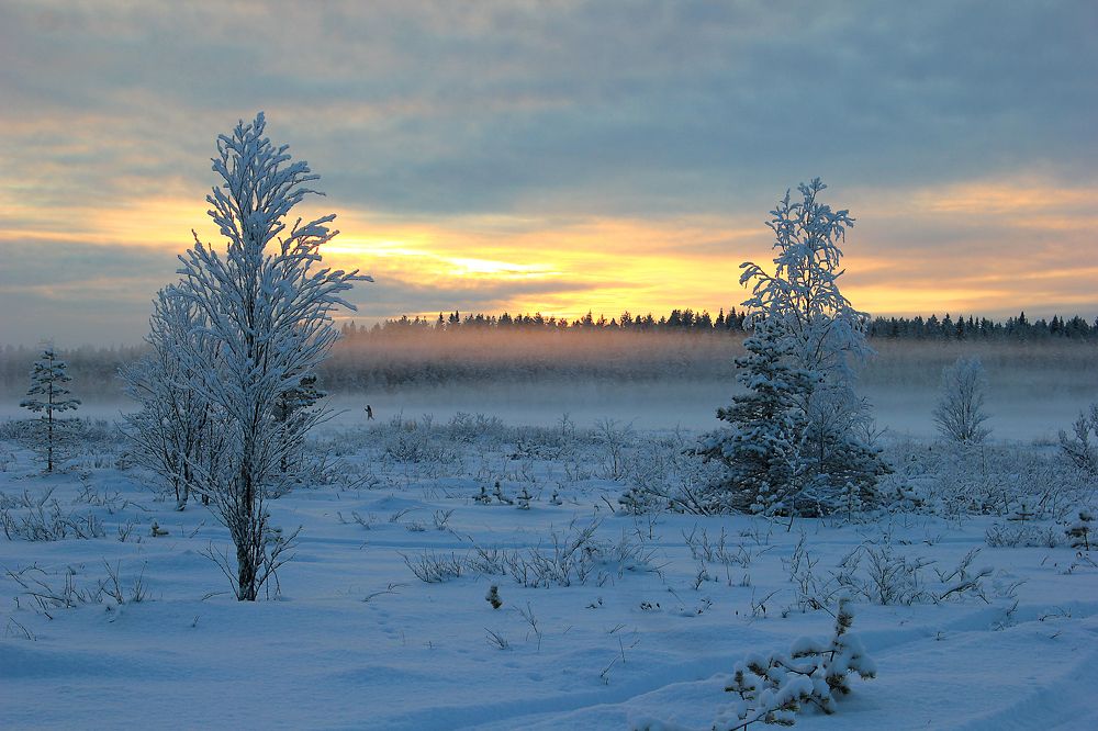 Photograph by Чурсинова Юлия