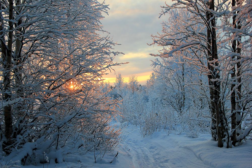 Photograph by Чурсинова Юлия