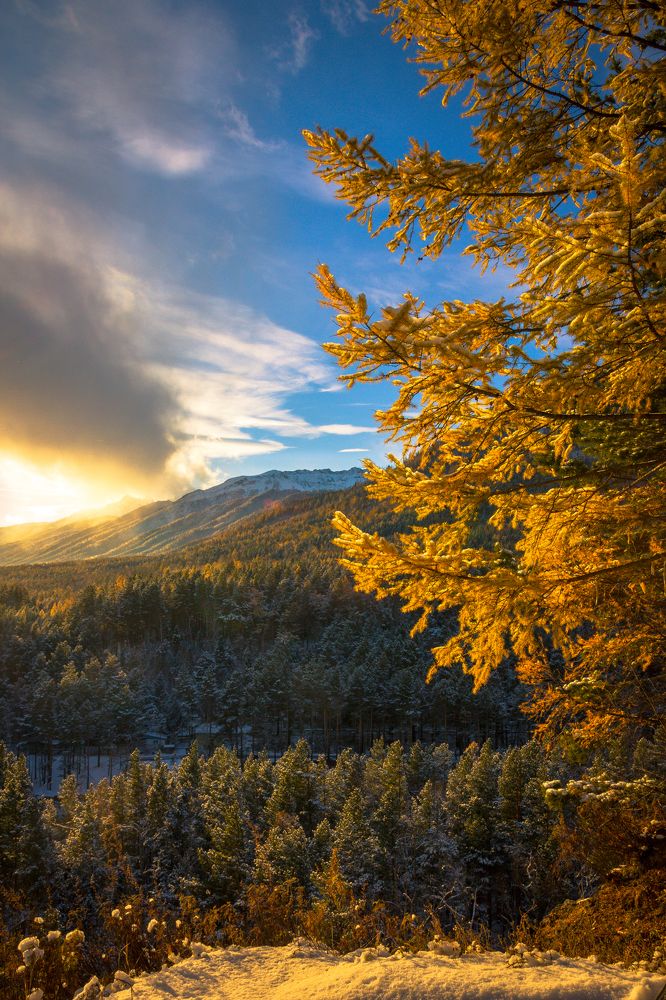 Photograph by Геннадий Лосев