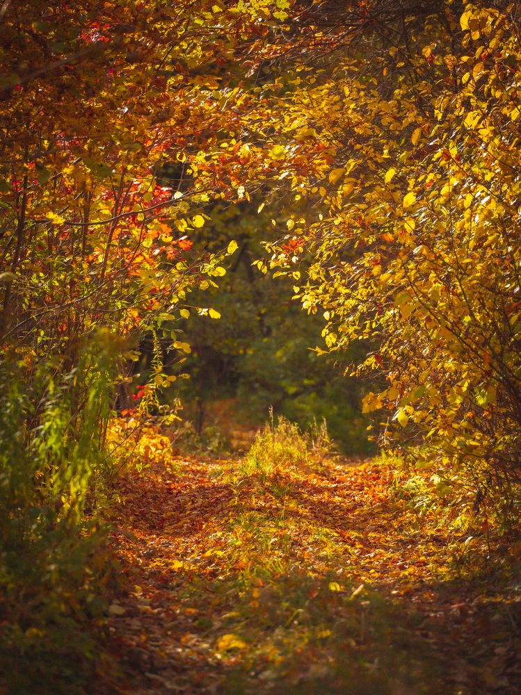 Photograph by Aleksandr Fitsay