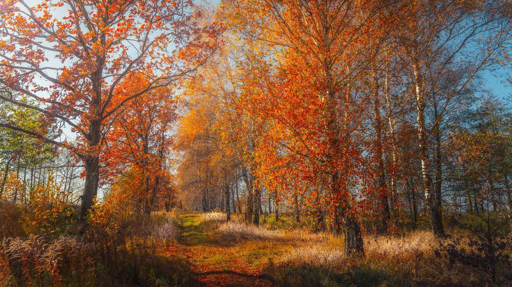 Photograph by Aleksandr Fitsay