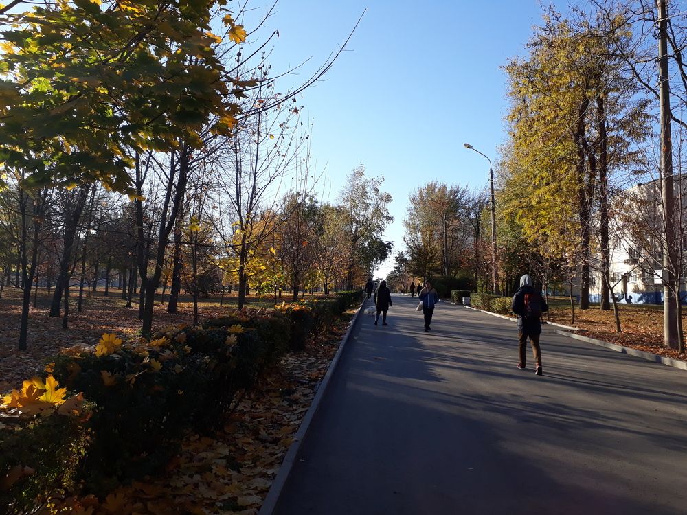 Студенческий парк ДГТУ в Ростове-на-Дону