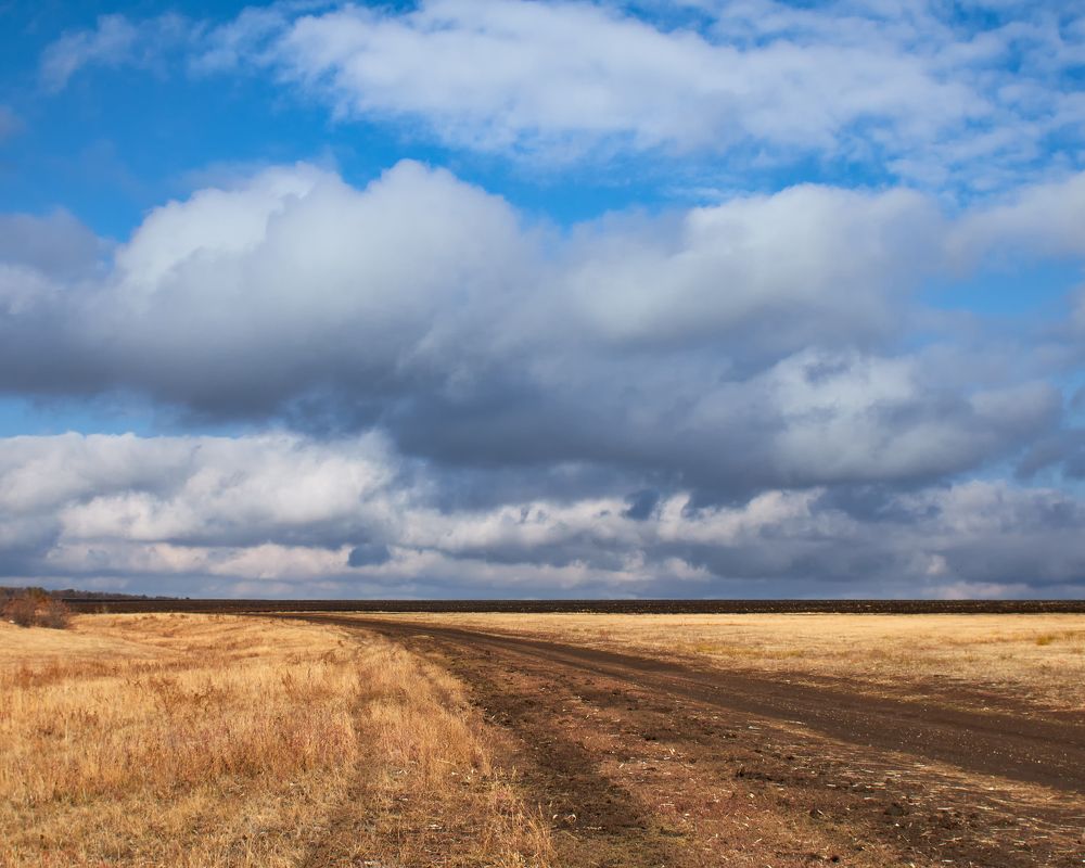 Photograph by Оксана Курочкина