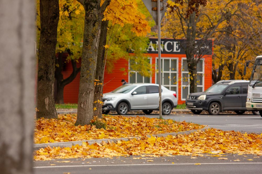 Photograph by Татьяна Казакова