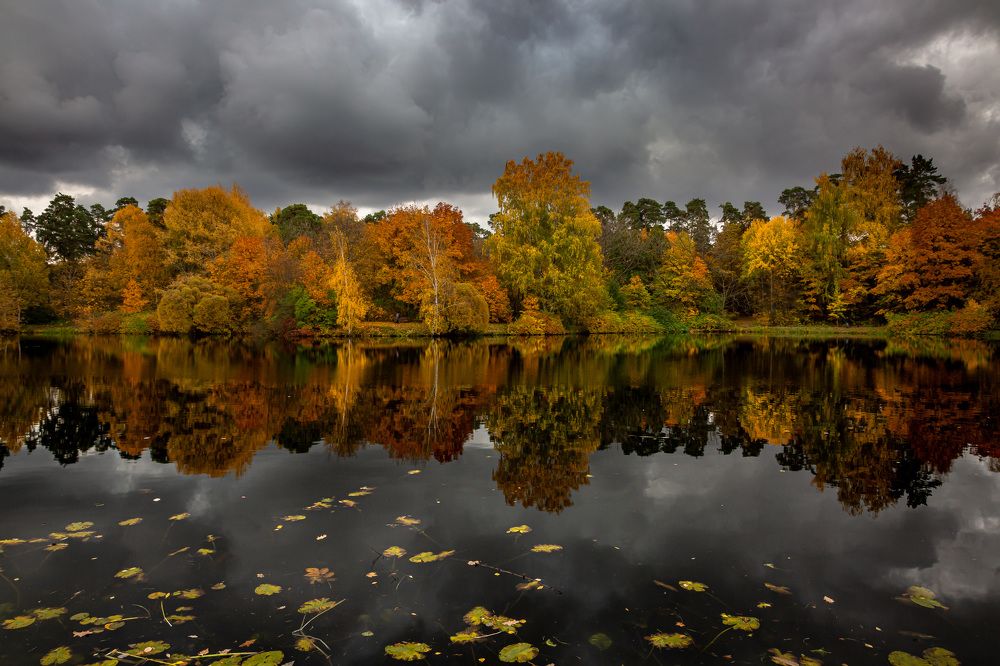 Photograph by Александр