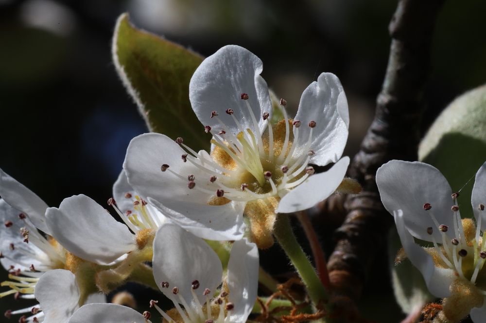 Photograph by Popa Alin