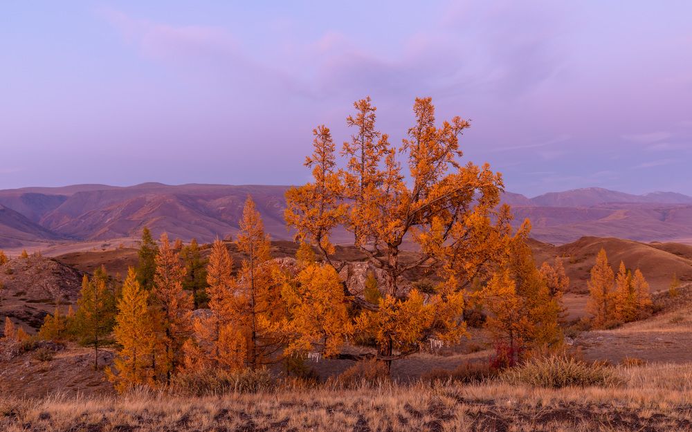 Photograph by Евгения Чех