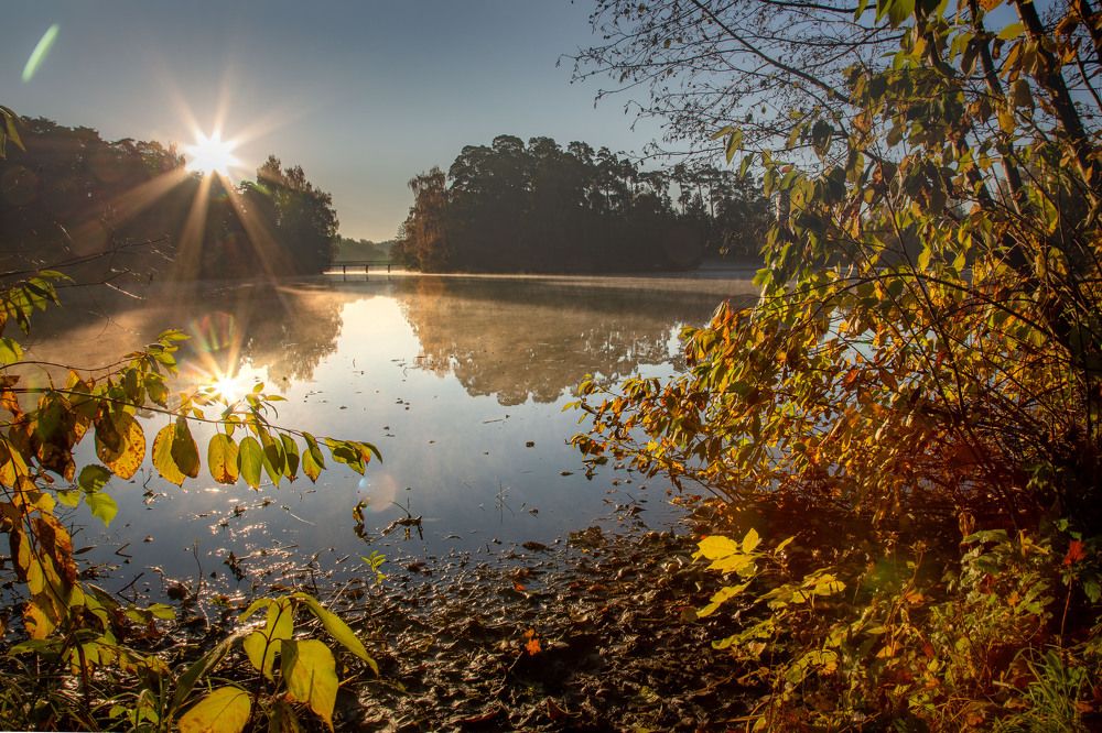 Photograph by Александр