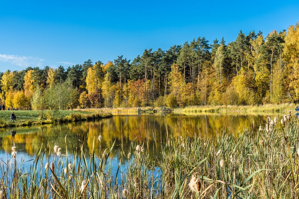 Photograph by Владимир Езеров