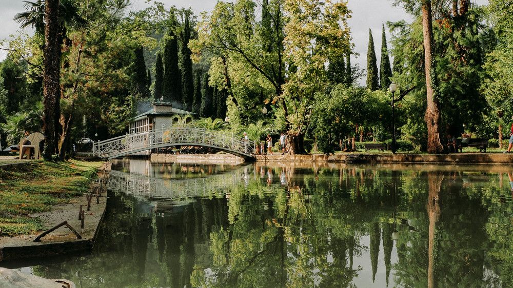 Новоафонское озеро с черными лебедями