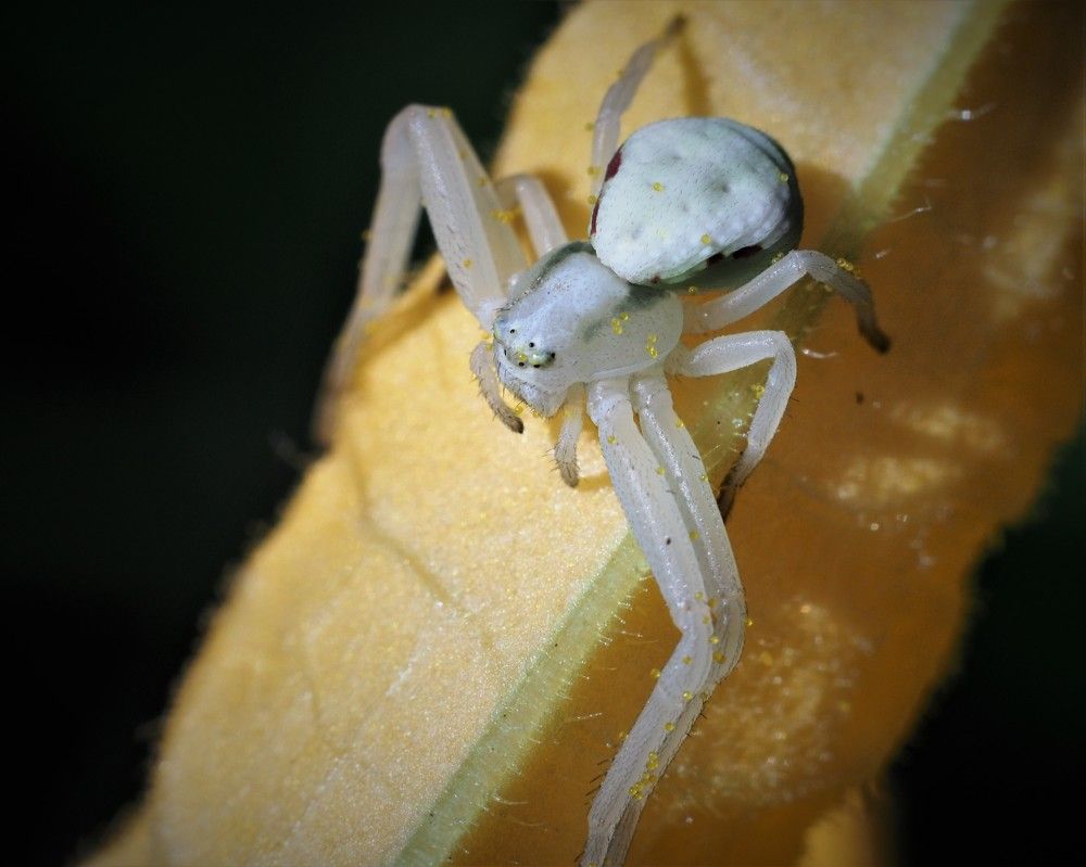 Photograph by Николай Мыльников