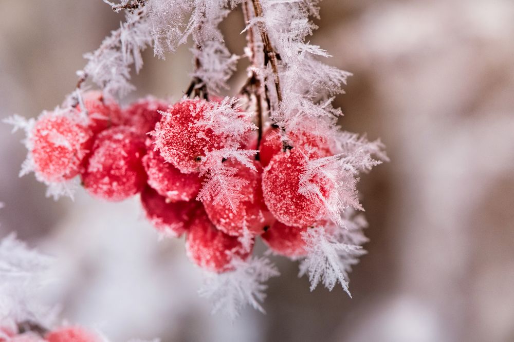 Photograph by Елена Быкова