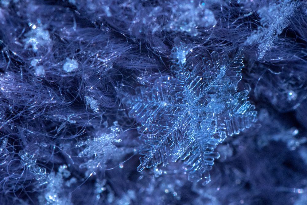 Photograph by Елена Быкова