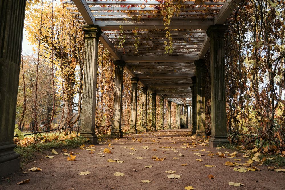 Photograph by Наталья Буракова