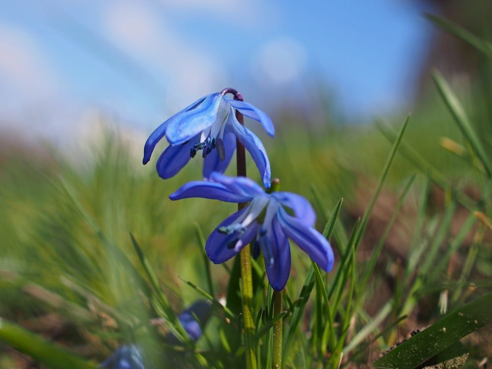 Photograph by Eugene Degtyaryov