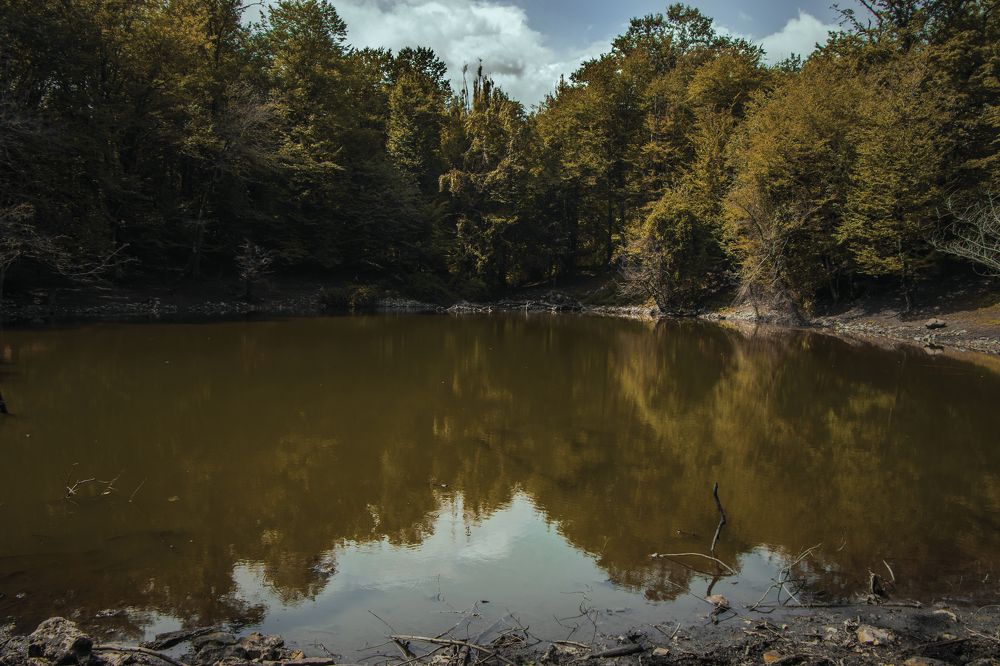 Photograph by Mahdi Bafande