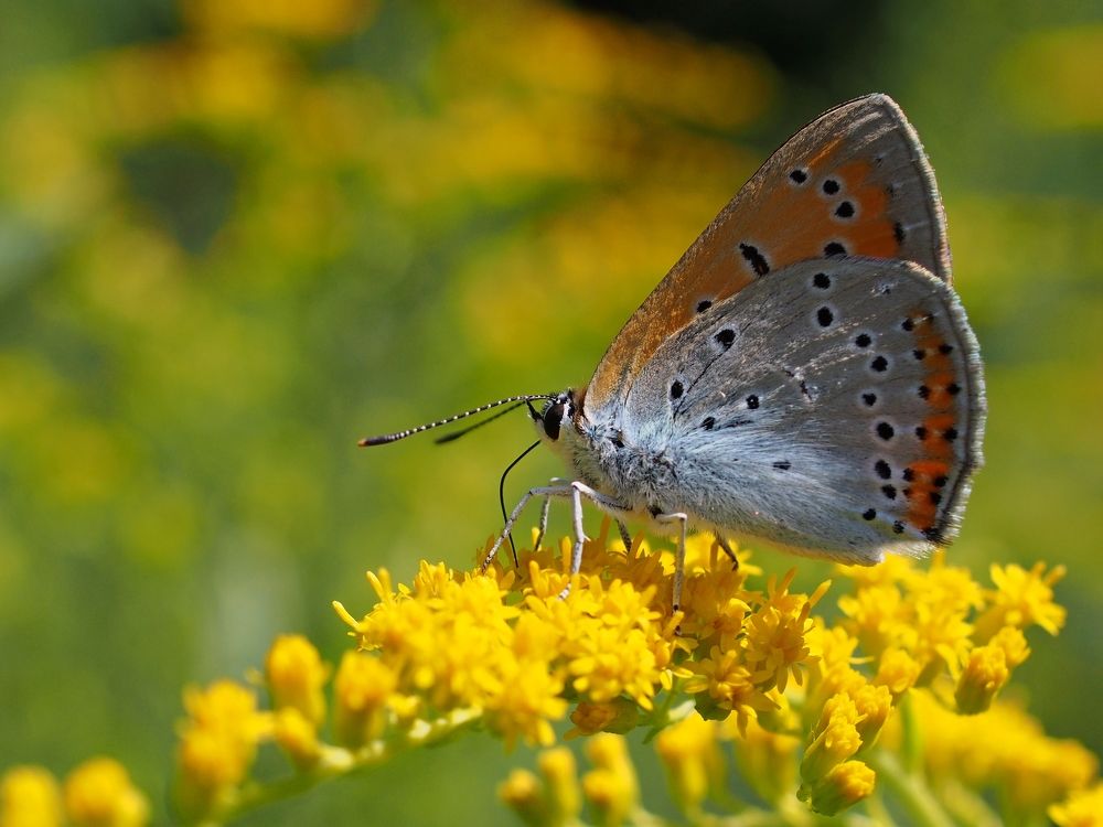 Photograph by Eugene Degtyaryov