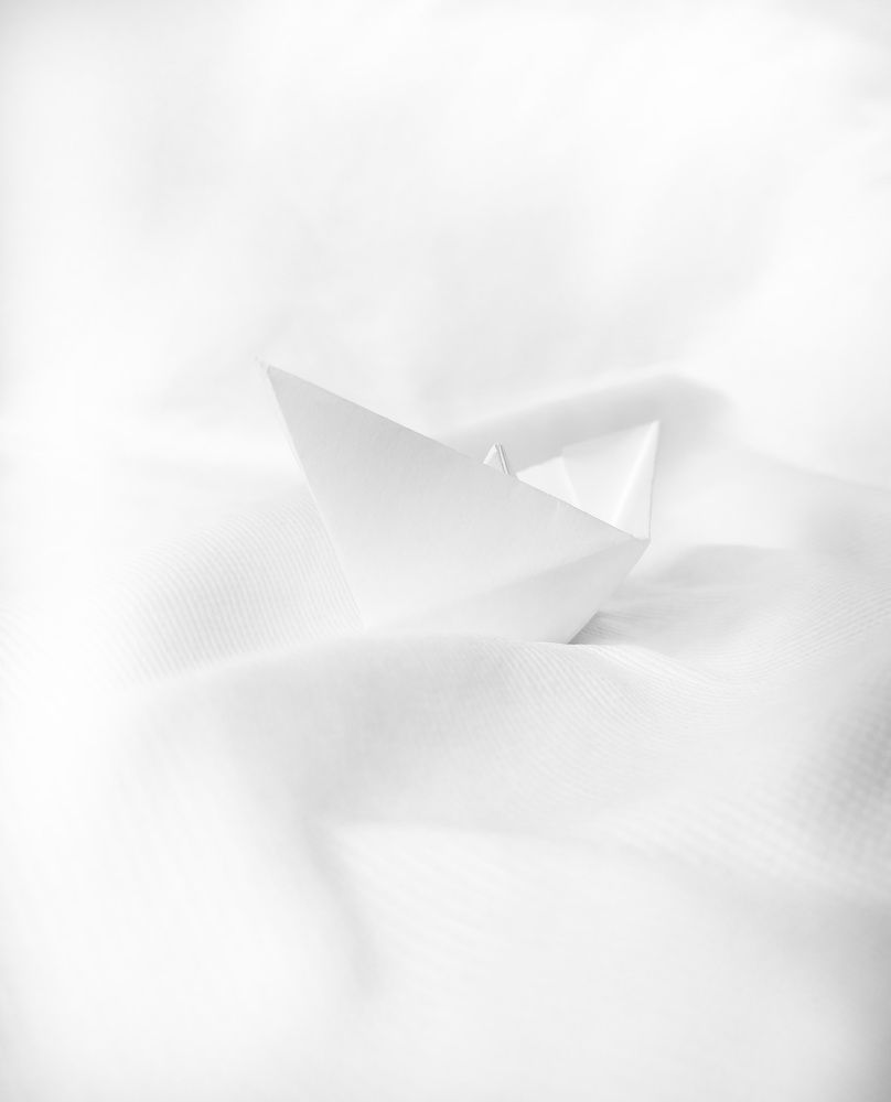 Photo #6649449