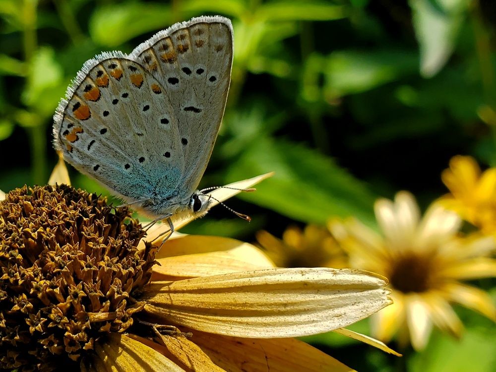 Photograph by Eugene Degtyaryov