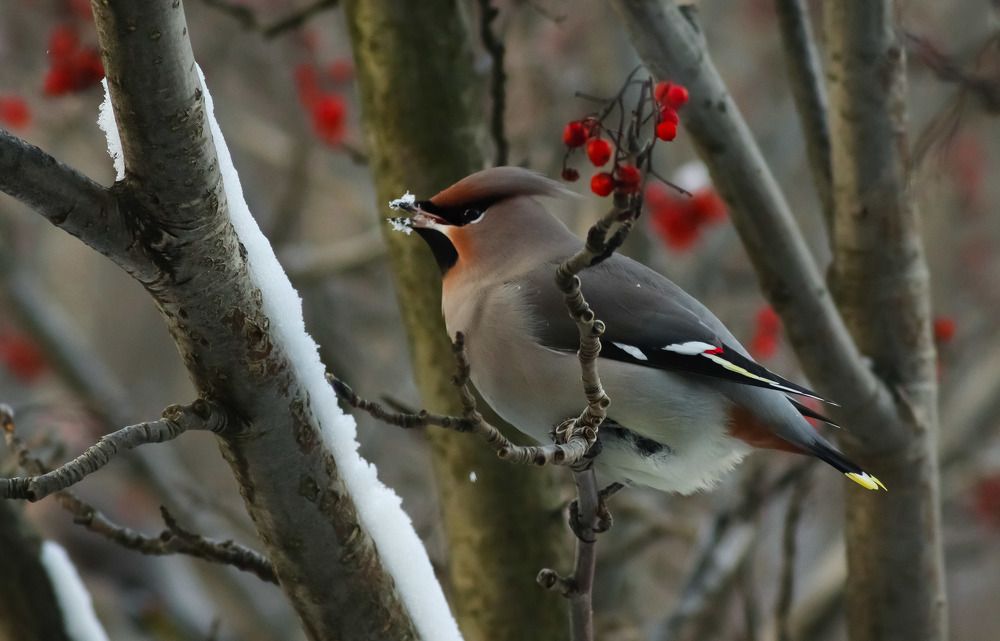 Photograph by Екатерина Чернышова